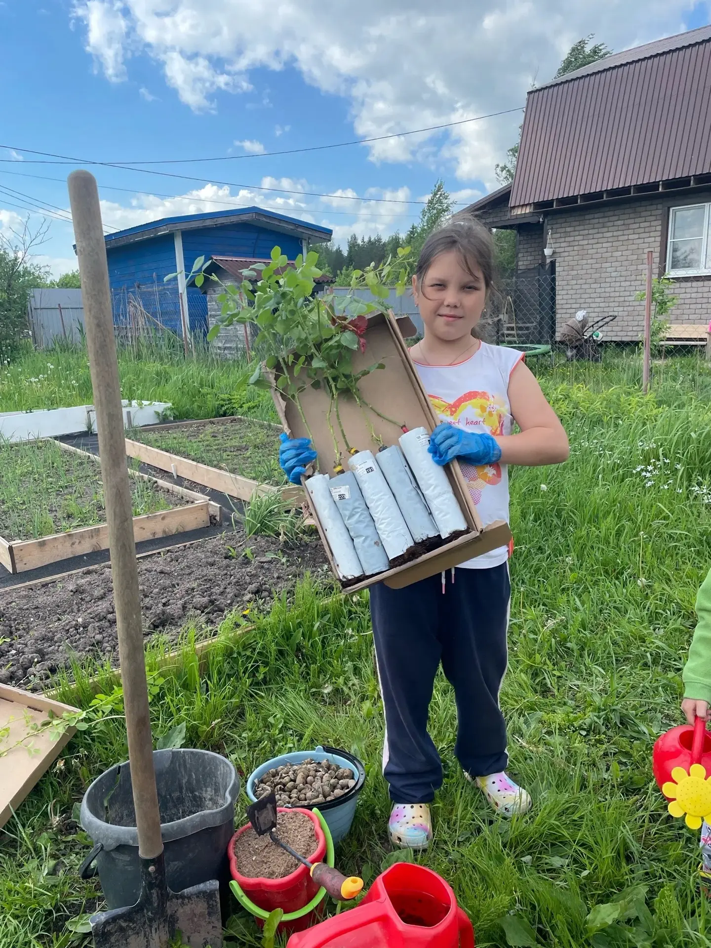🌼 Акция «Цветы жизни сажают цветы» завершена!