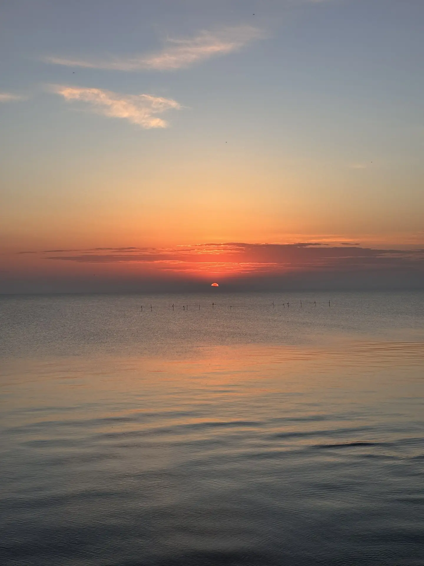Доброе утро Азовское море 🌊   Открываем сезон встречи рассвета. Солнышко встает 4.55   #Кучугуры