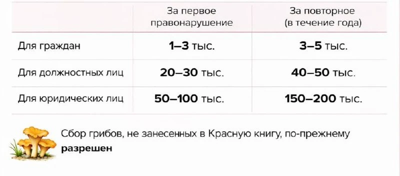 🍄‍🟫Штрафы за сбор и продажу краснокнижных грибов ввели в Подмосковье.