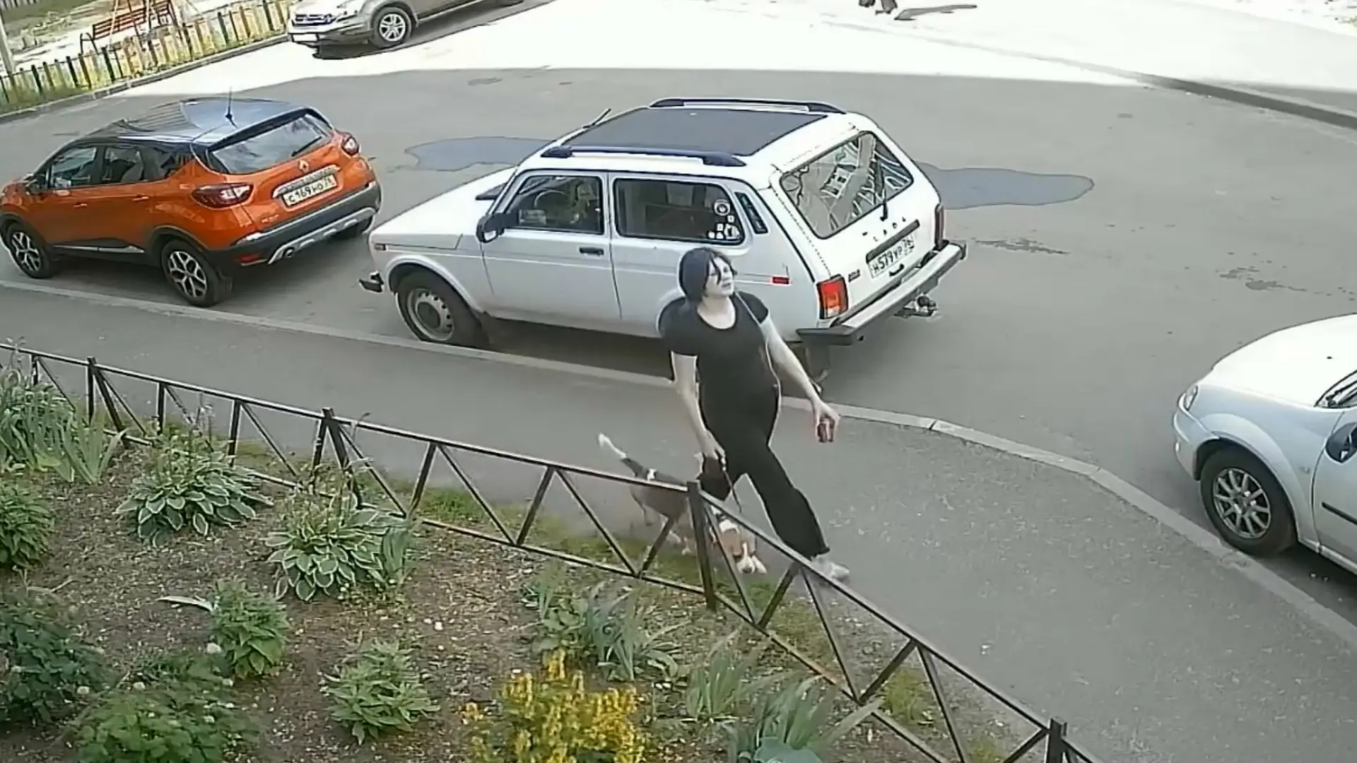 Ищем девушку с собакой с данного фото!
В Заволжском районе 
Может кто узнает, подругу, сестру, знако