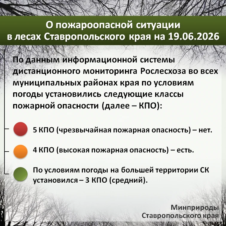 🌲 По данным информационной системы дистанционного мониторинга Рослесхоза по состоянию на 19.06.2026