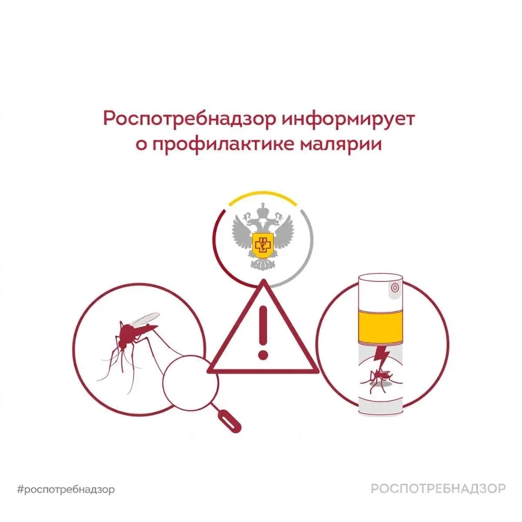 🗓️ Ежегодно 25 апреля отмечается Всемирный день борьбы с малярией. Роспотребнадзор рассказывает о си