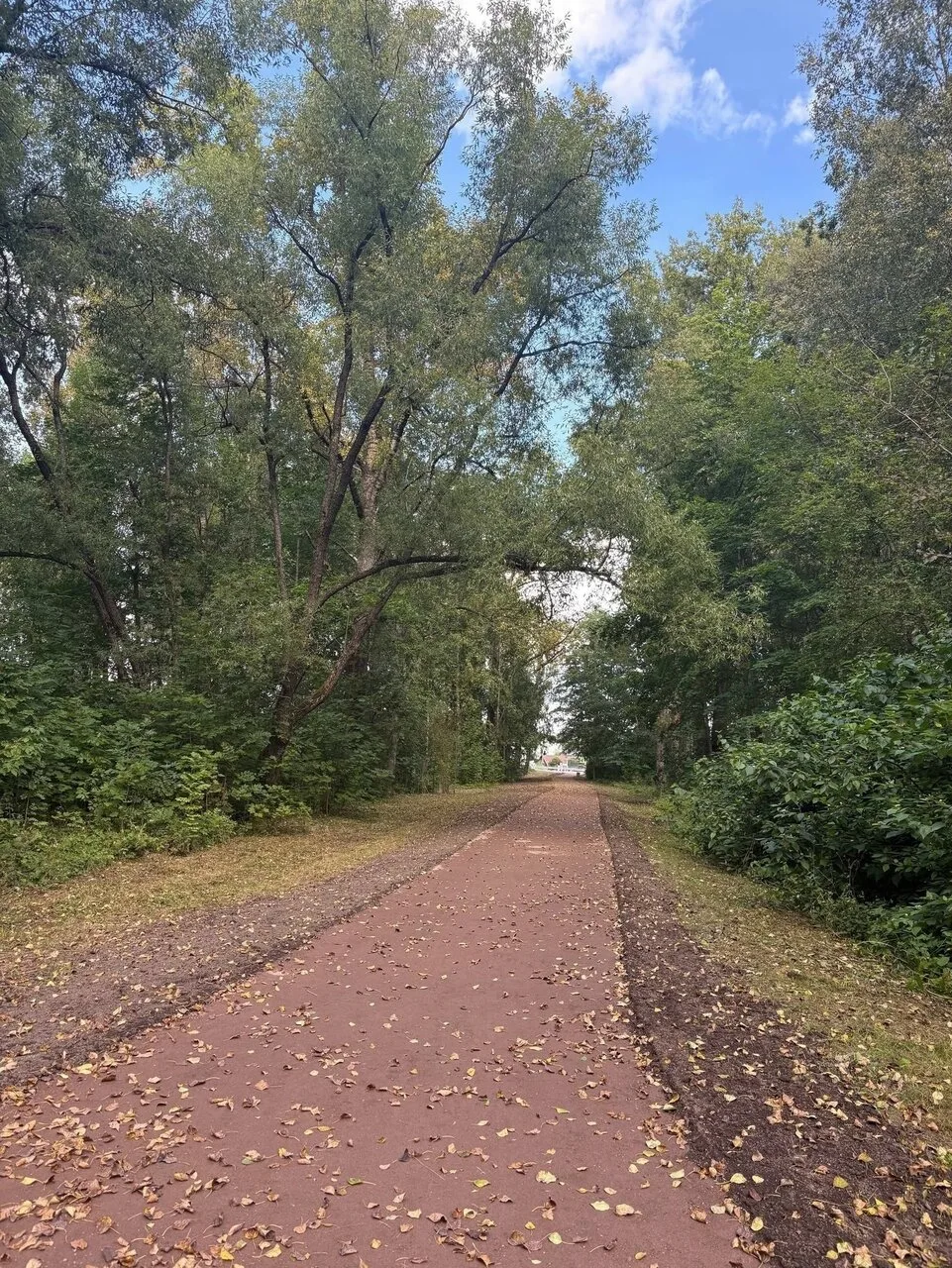 Новый маршрут для прогулок в парке Красного Села 🥰