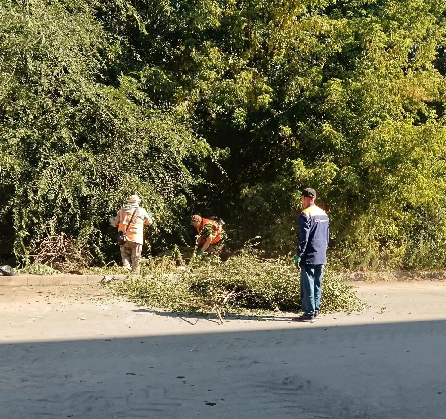 Новотроицк наводит порядок: как в городе ликвидируют несанкционированные свалки