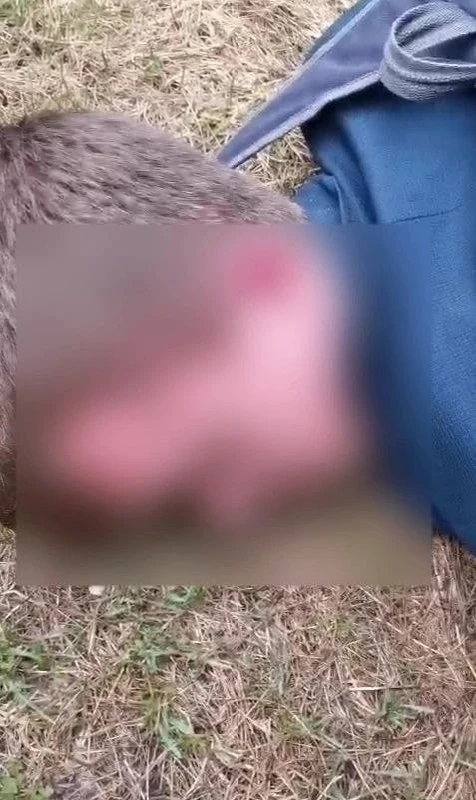 💸 В Челябинске посадили мошенника, обманывающего пожилых людей  Мужчина из Кемеровской области сотру