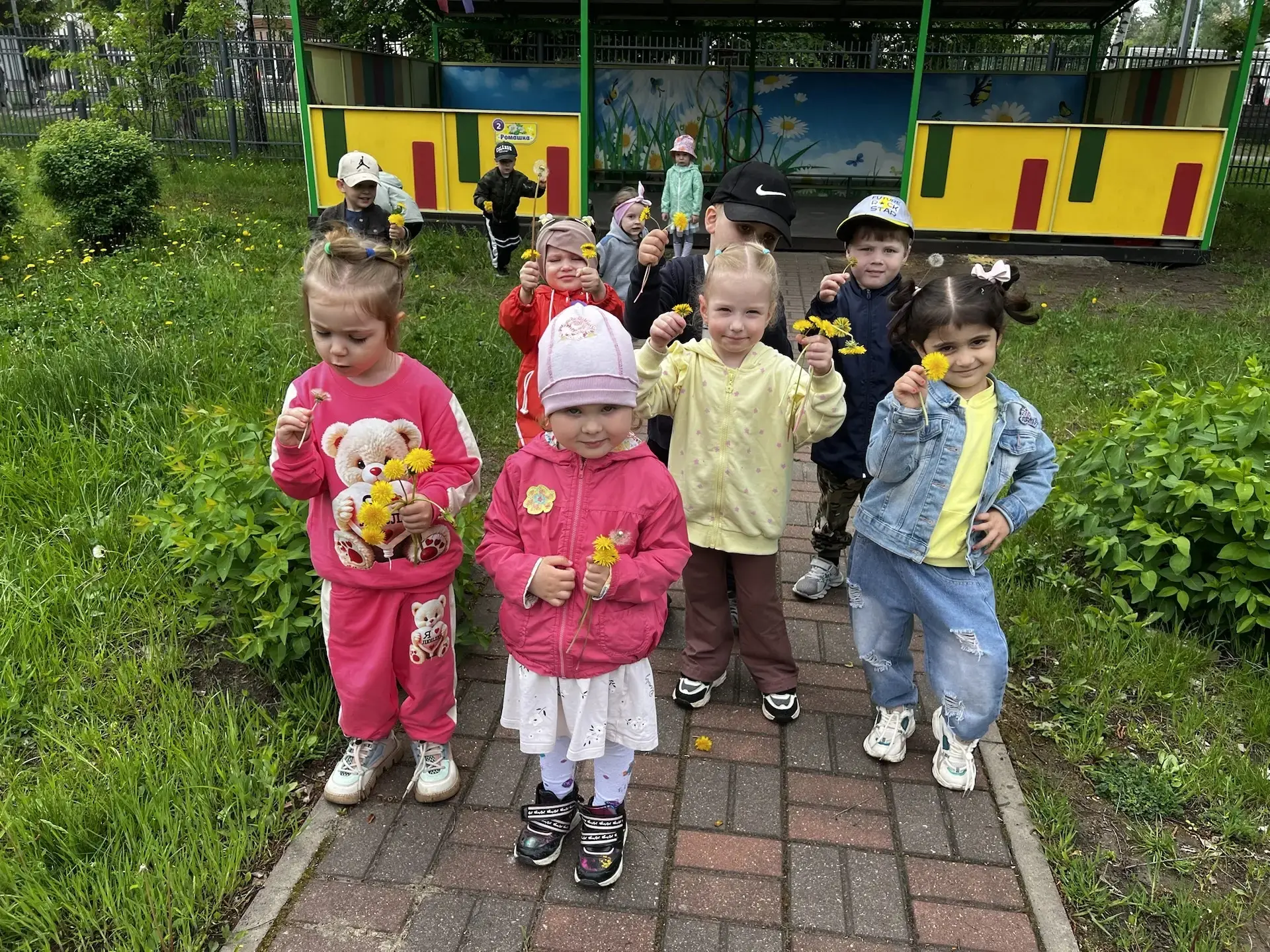 Одуванчик серебристый,
