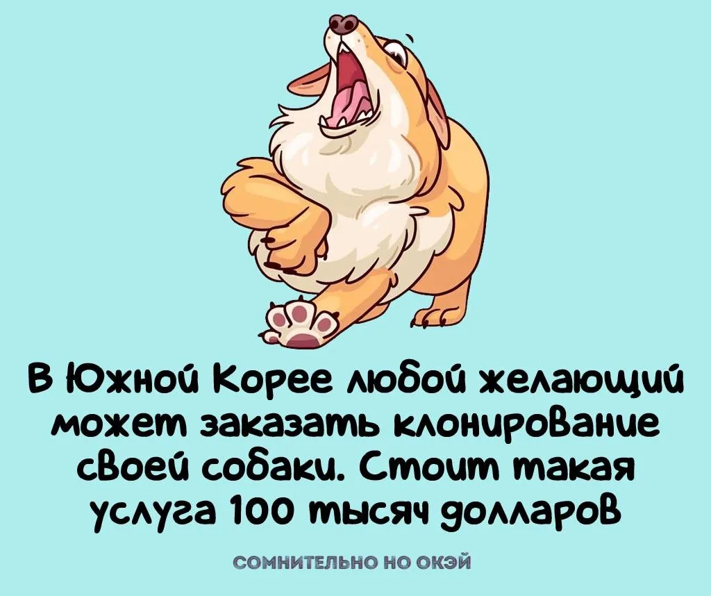 Признавайтесь, знали?
❤️ - знал
🤯 - удивлен

🖐Сомнительно, но окэй