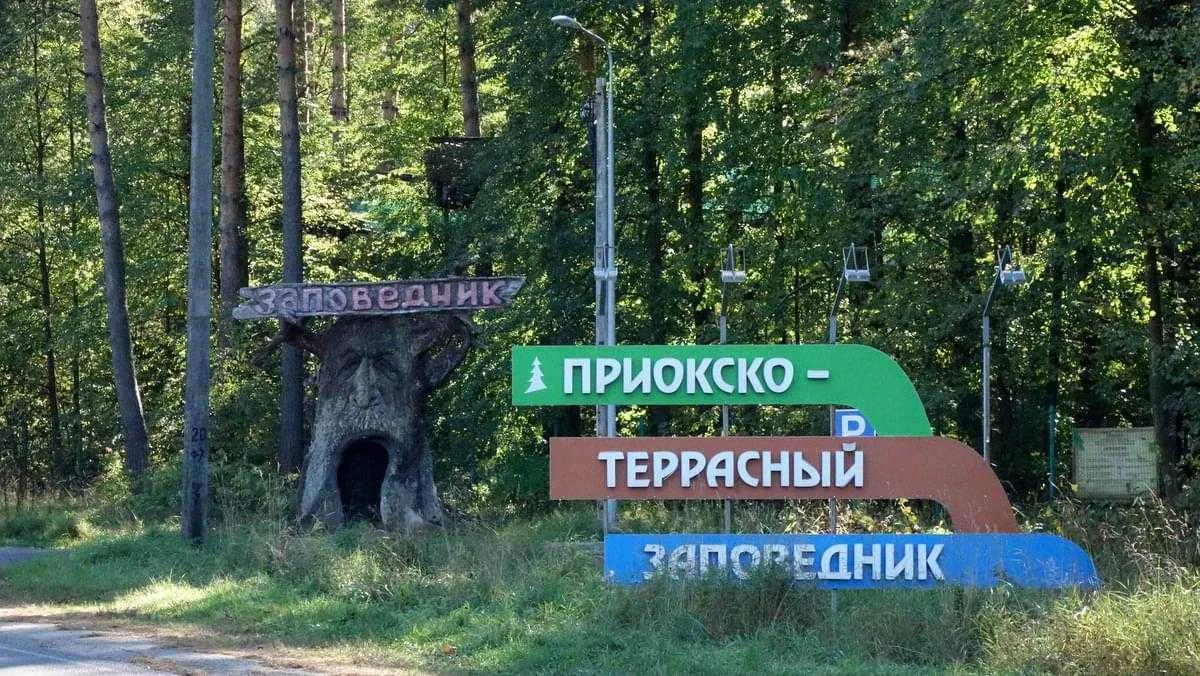 🌿 ЛЕТО С ПОЛЬЗОЙ НЕ ТОЛЬКО ДЛЯ УЧЕНИКОВ!

Учителя биологии проекта «Естественно-научная вертикаль» 