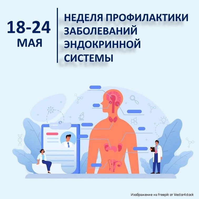 18-24 мая – Неделя профилактики заболеваний эндокринной системы