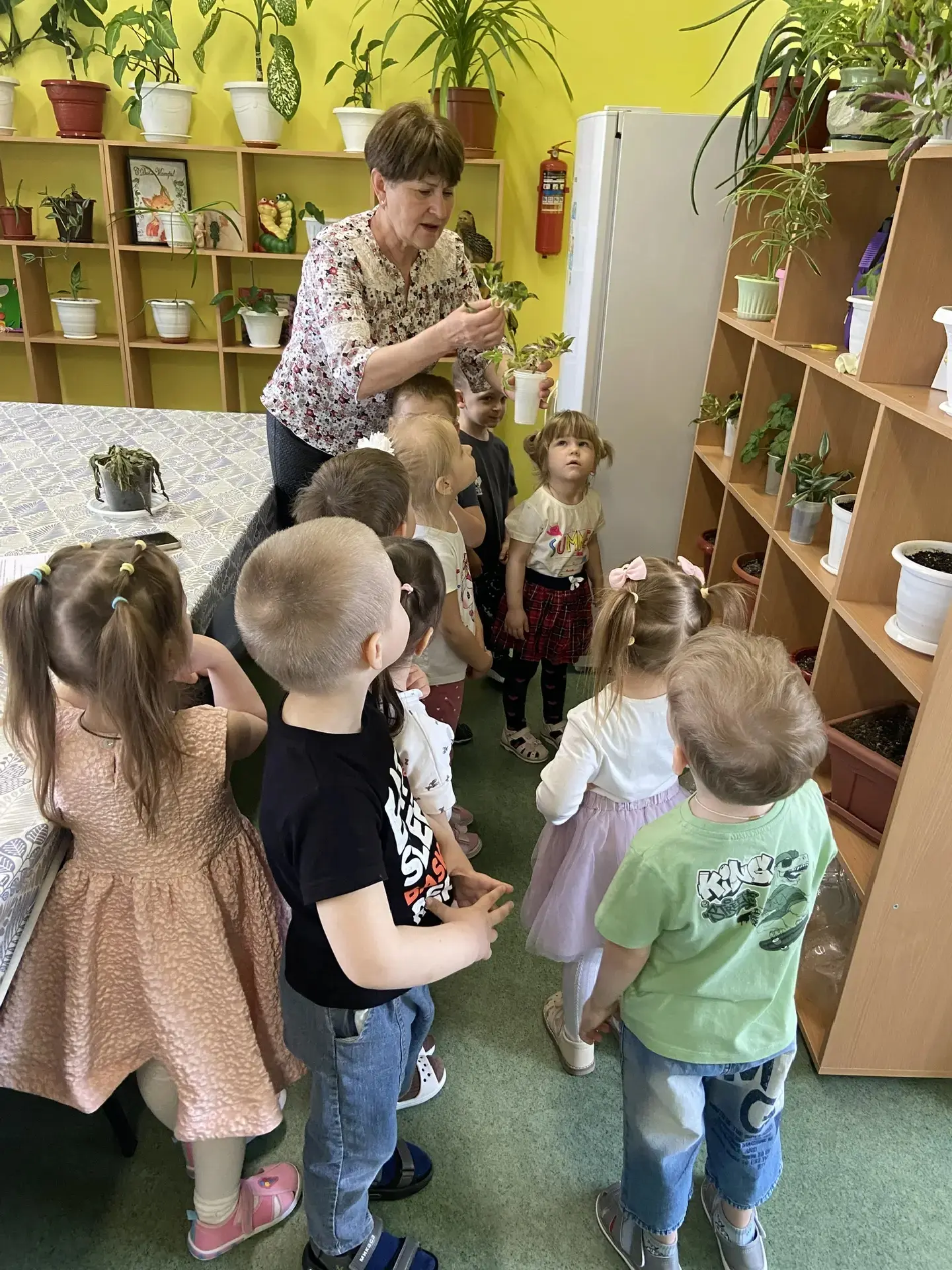 В группе "Бельчата " прошло занятие на тему "Знакомство с комнатными растениями".