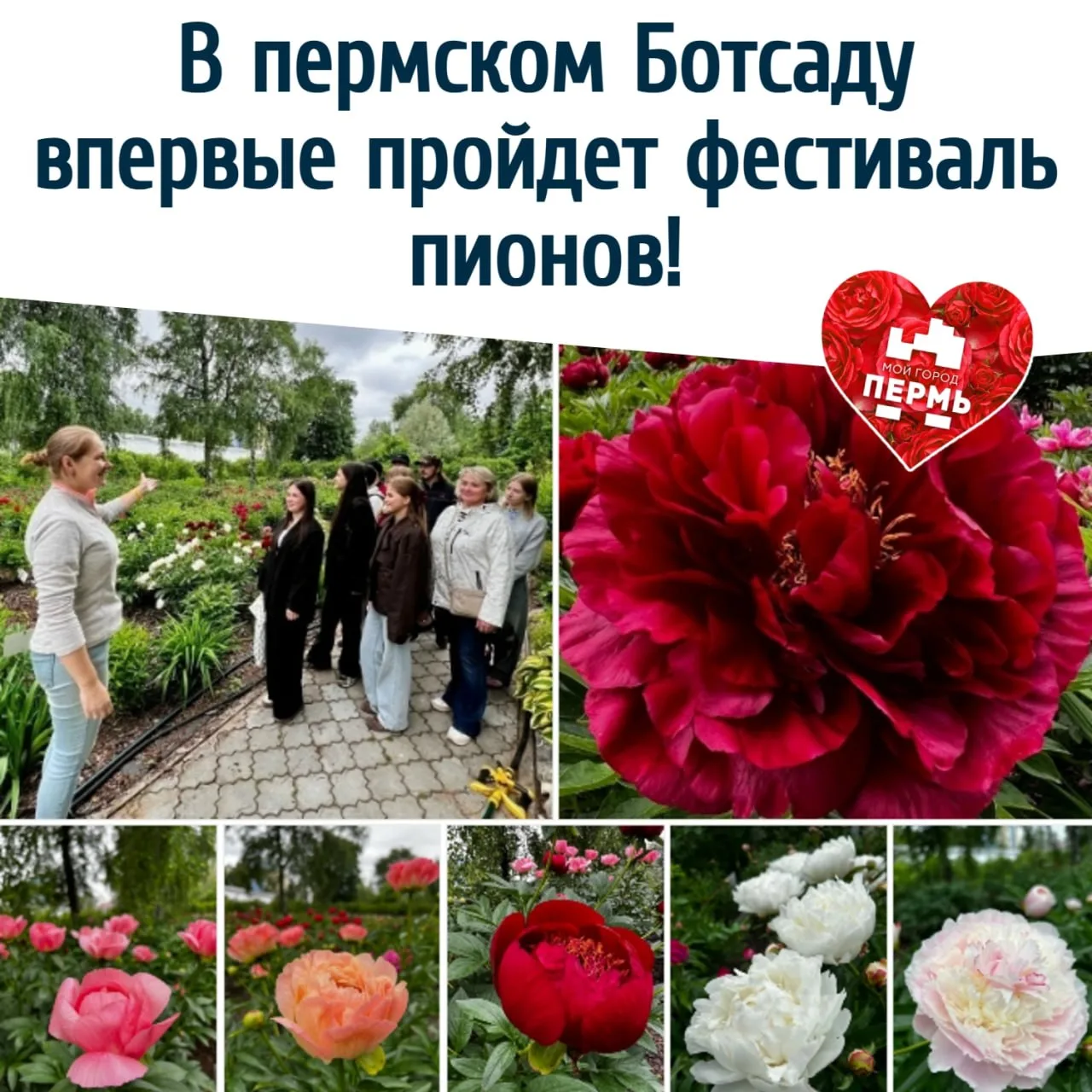 🌸 В пермском Ботсаду впервые пройдет фестиваль пионов! 
⠀
 Всех любителей прекрасного приглашают в 