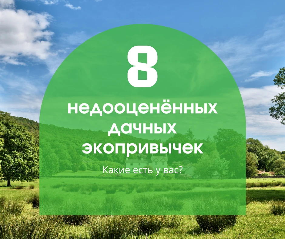 Помните лето на даче или может быть у вас сейчас так? Утром — клубника с грядки, днём — велосипед, в