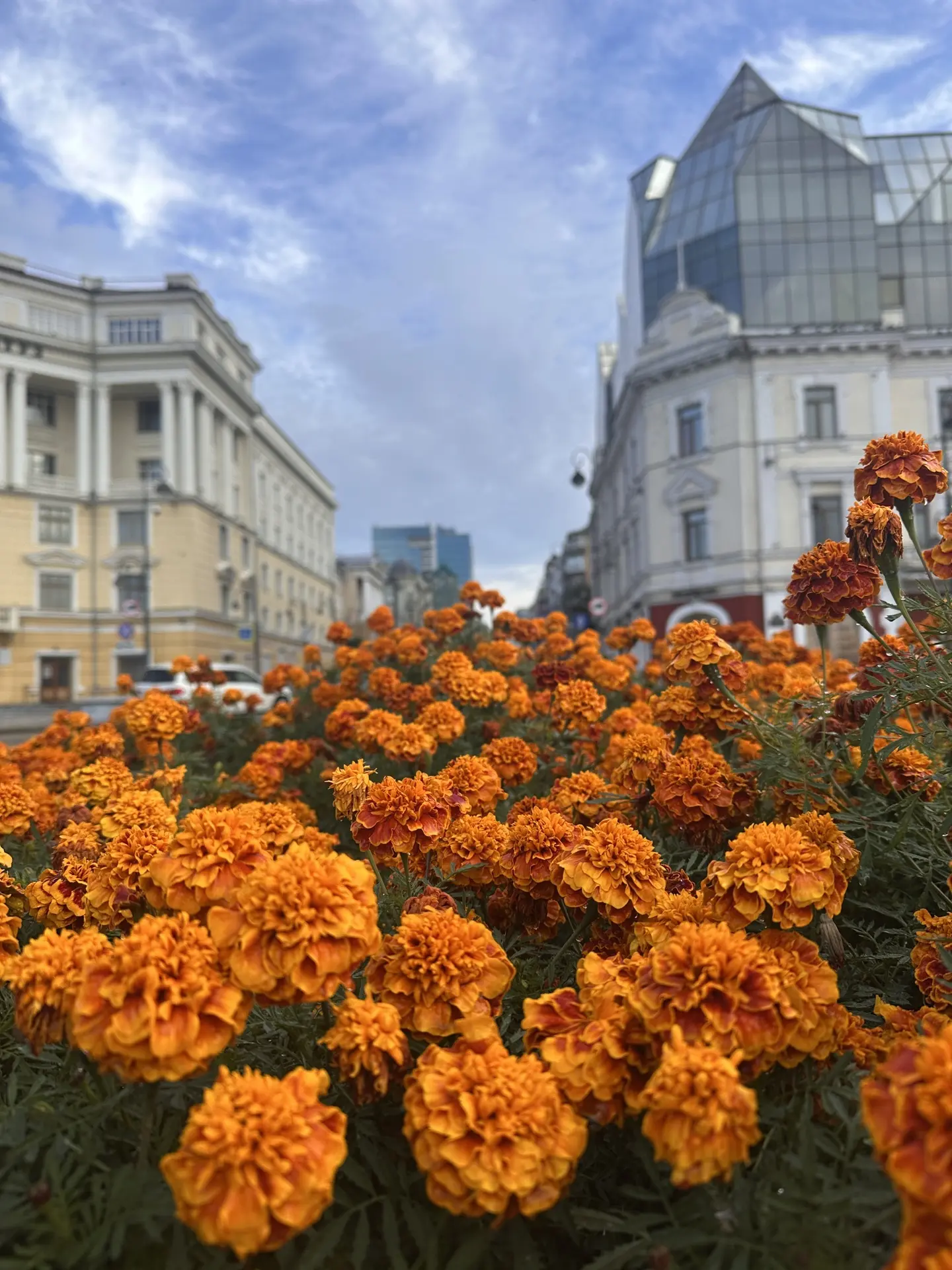 Всем хорошего дня 🌸