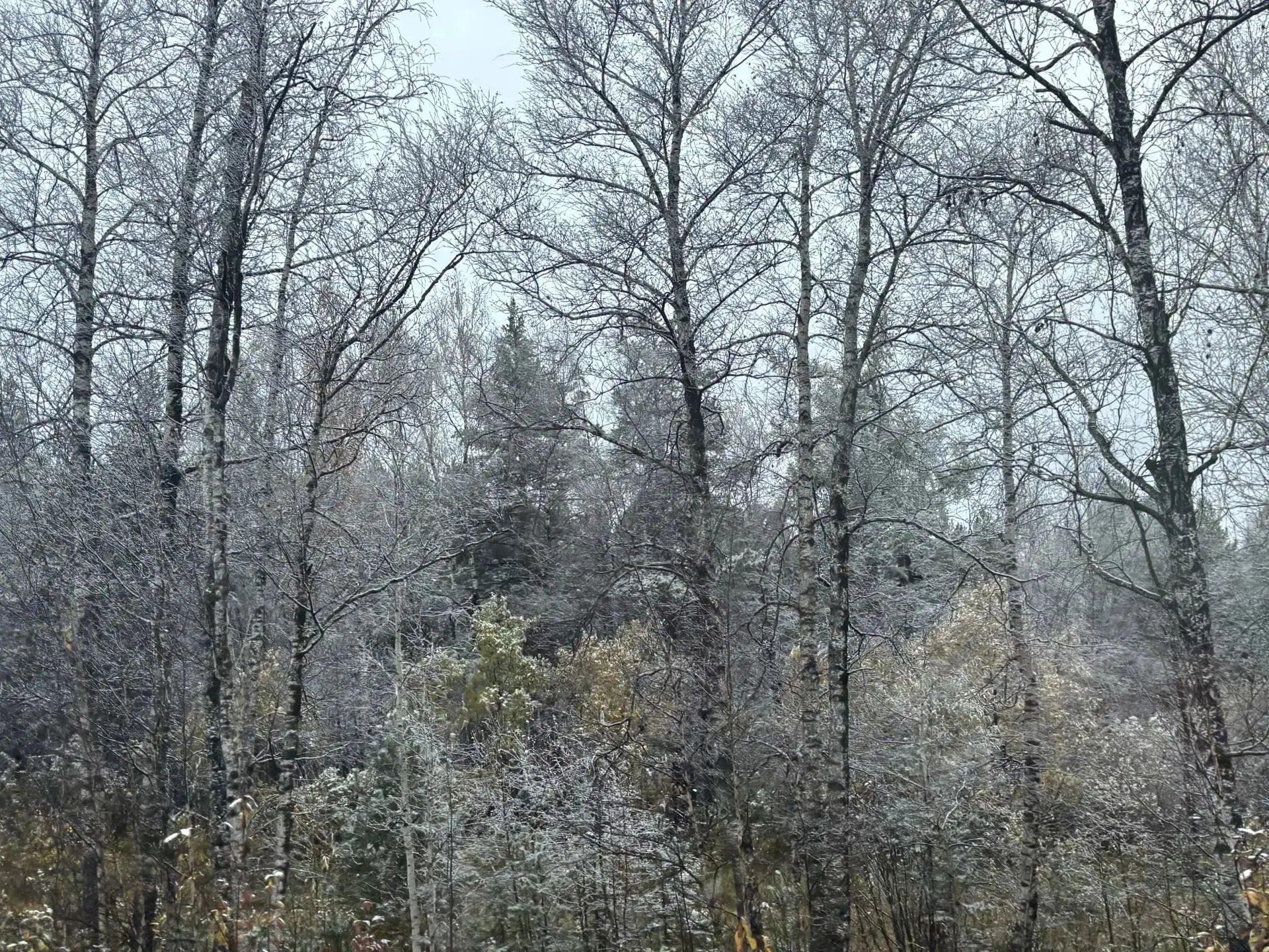 📷Моменты