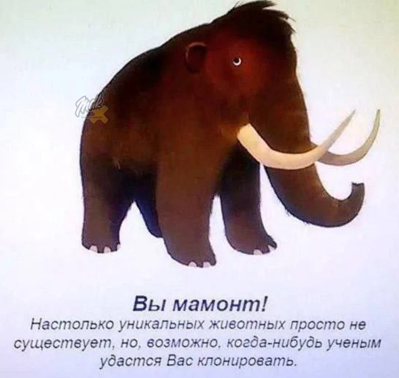 😱Уральский школьник распилил сейф предков болгаркой и слил мошенникам 2 миллиона рублей