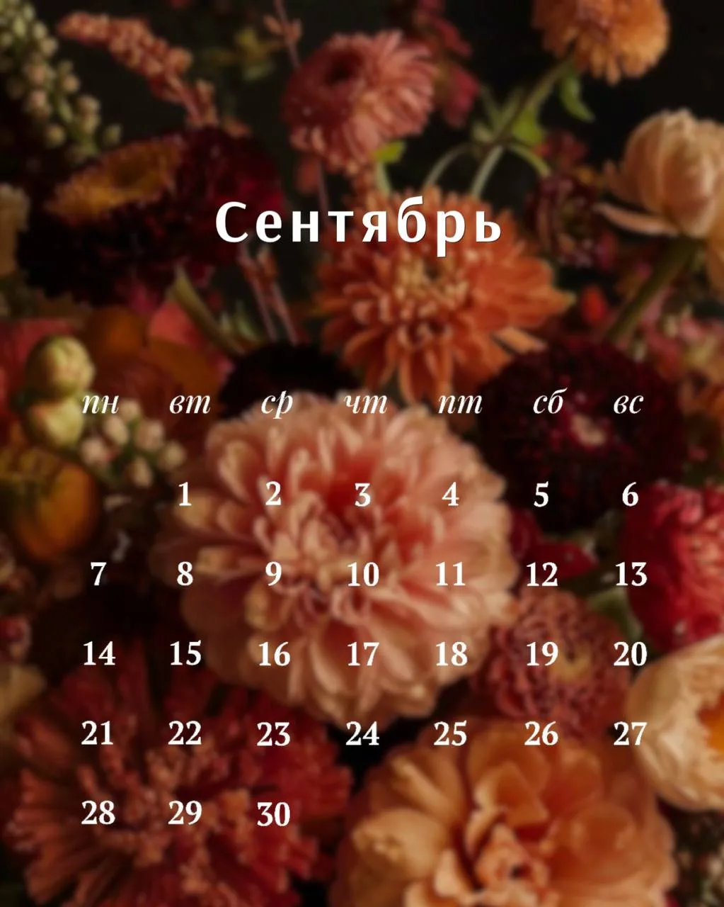 Сентябрь обещает быть интересным.. 🍂✍