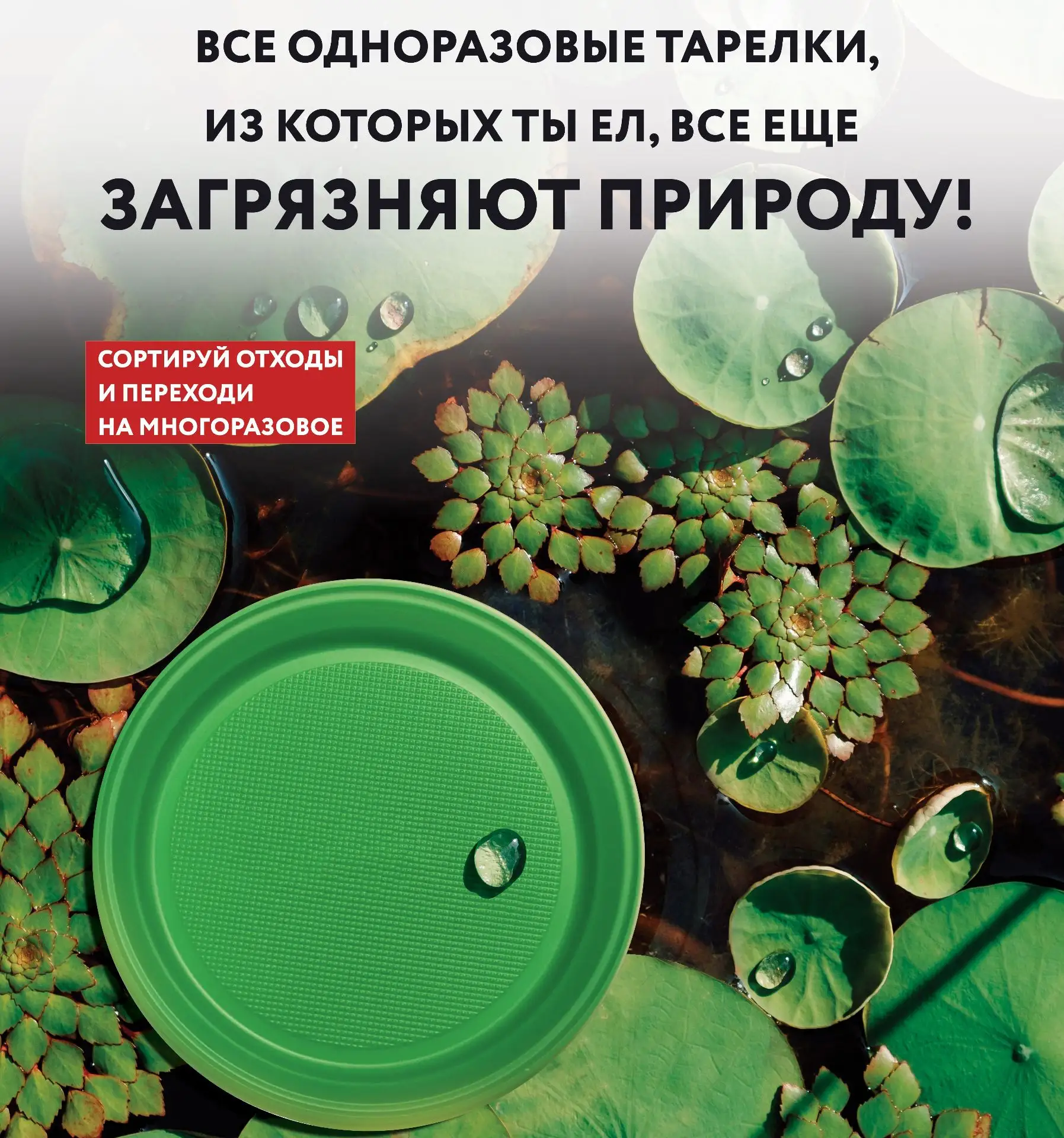 🌍 Одна тарелка — сто лет проблем