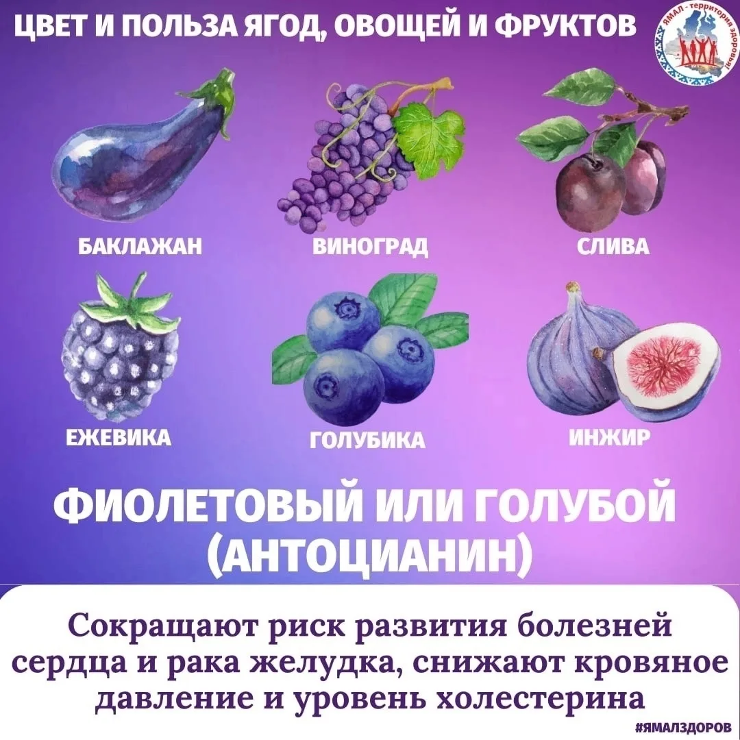 Чтобы быть здоровым, нужно съедать каждый день минимум 5 порций свежих овощей и фруктов (не менее 40