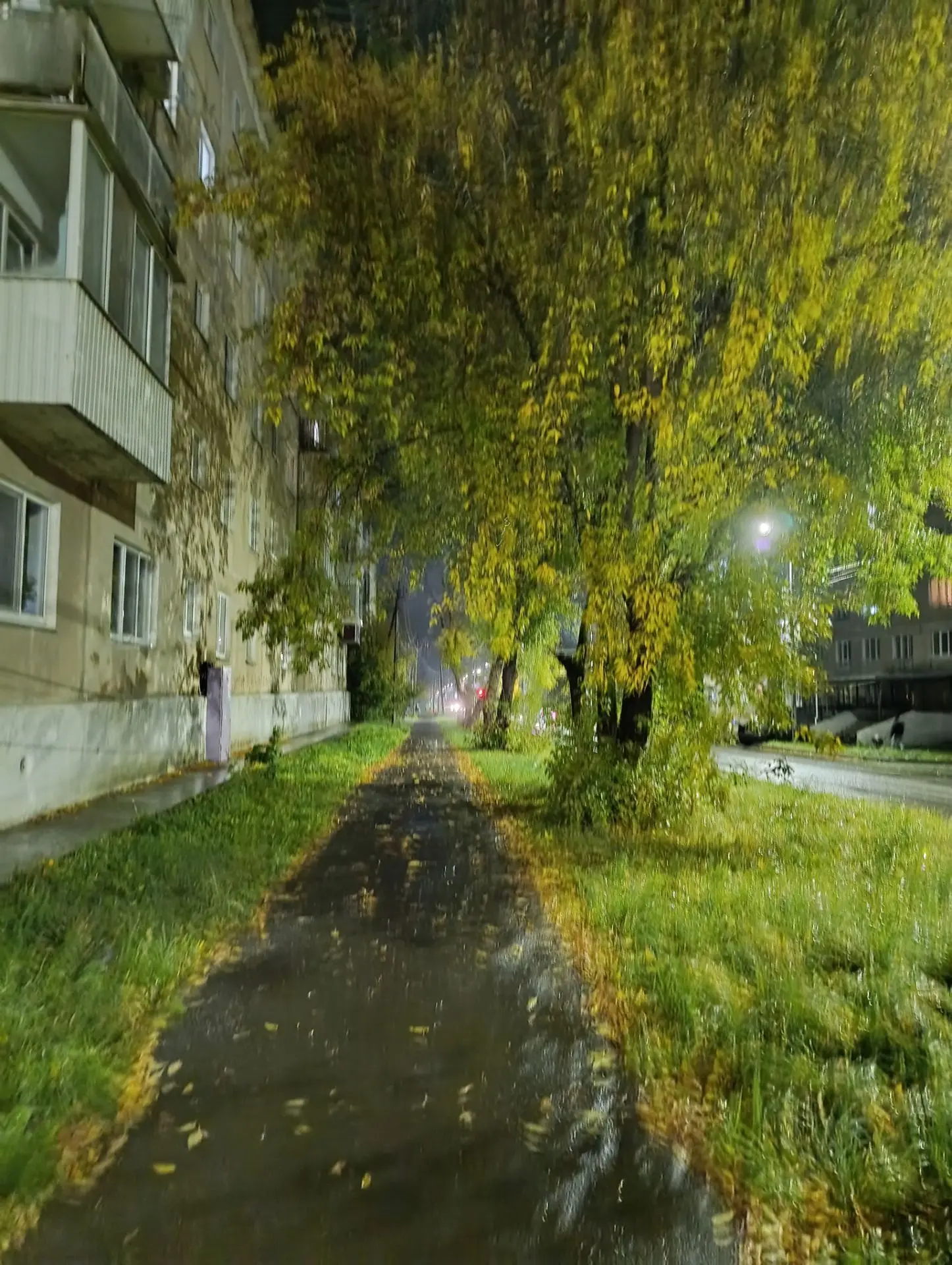 Вечерняя прогулка😍.