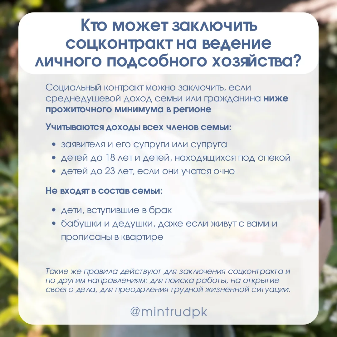 Социальный контракт на ведение личного подсобного хозяйства   Отвечаем на вопросы об условиях заключ