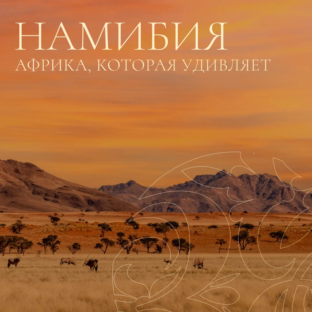 Намибия: Африка, которую вы еще не видели