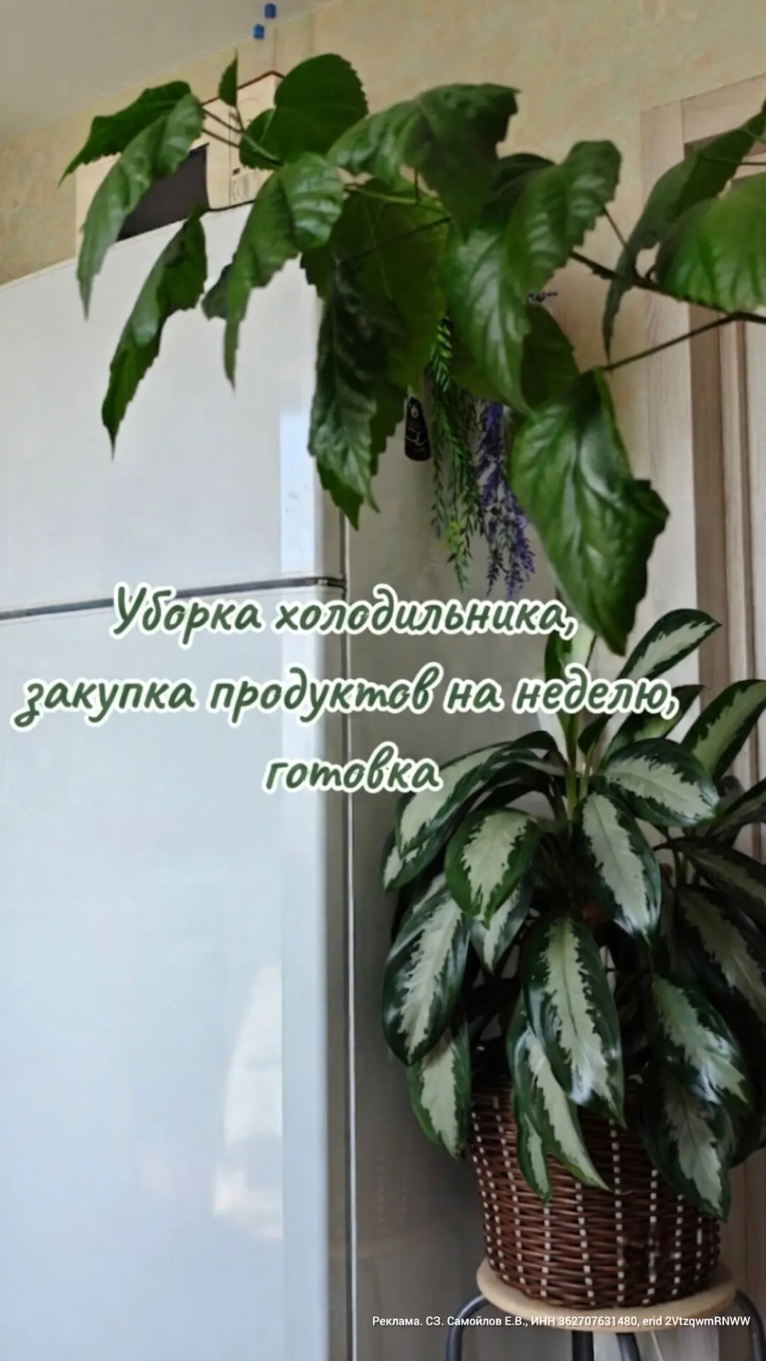 Сейчас по плану у меня уборка холодильника, закупка продуктов и готовка. Пока всем этим занимаюсь, б