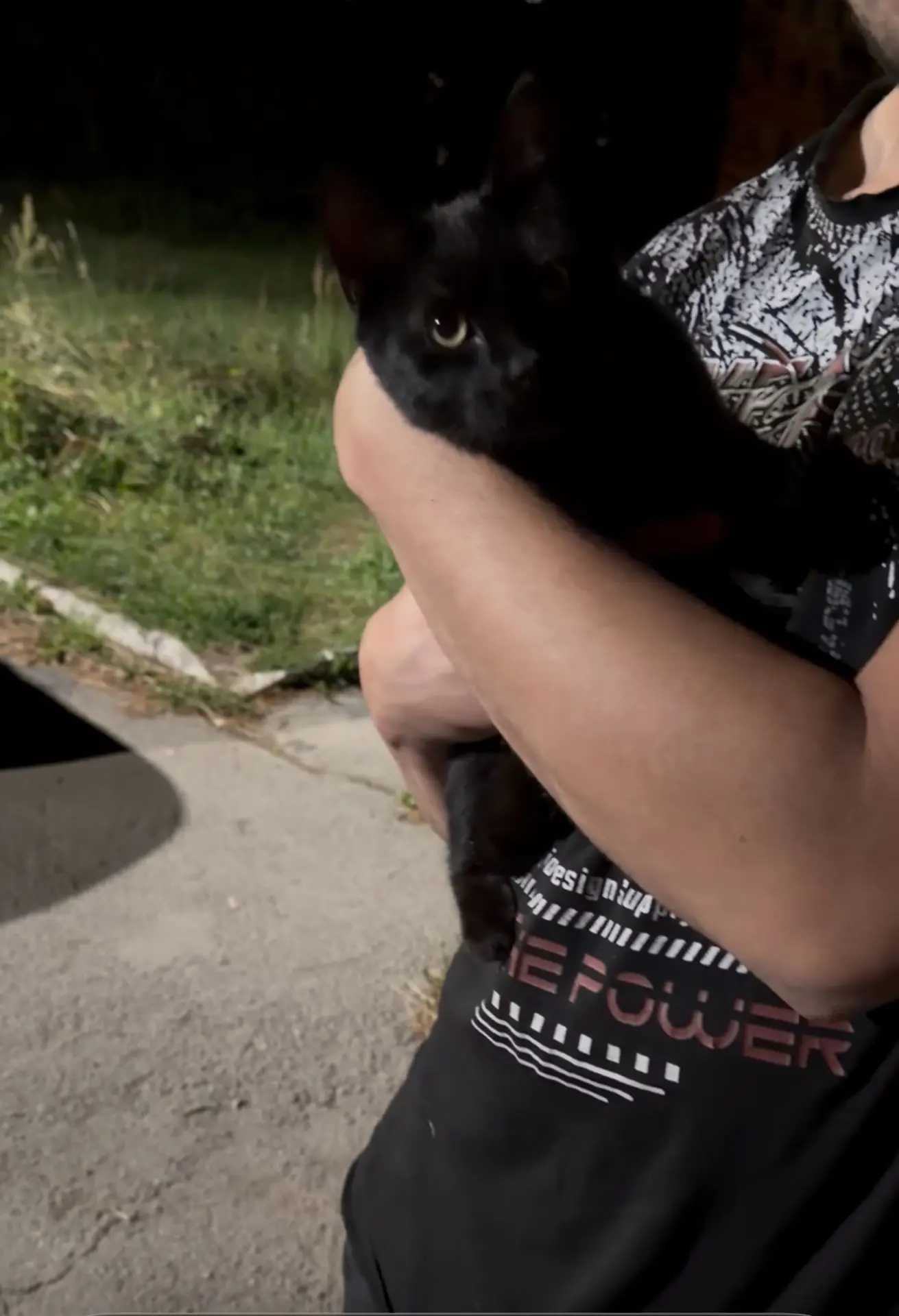 🐈‍⬛Котенок без хозяина на улице, помогите найти хозяина старого или нового.