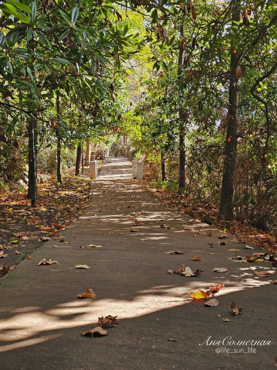🌳 Терренкур «Тропа здоровья»