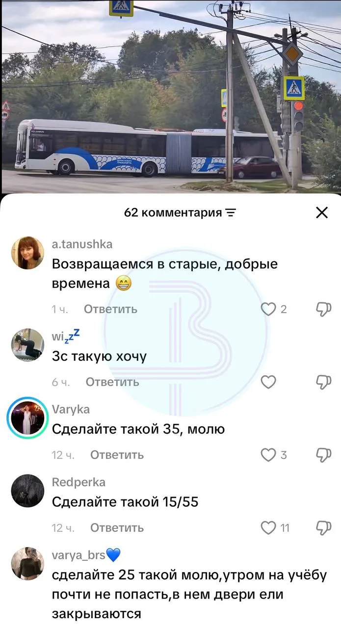 «Червячок» или «человеческая многоножка» вышла на улицы Волгограда.