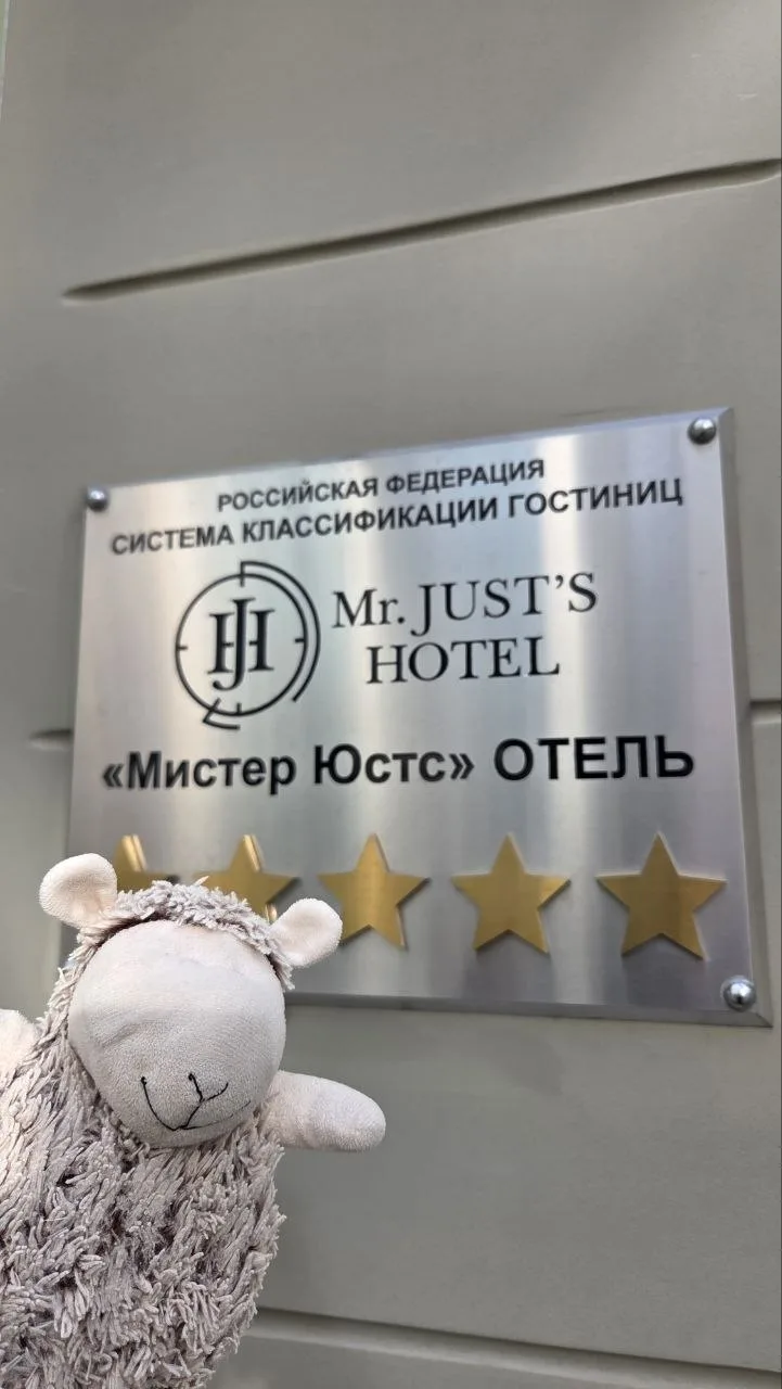 Овца Борис не думал долго, а просто купил билет на самолет и отправился на самый популя...