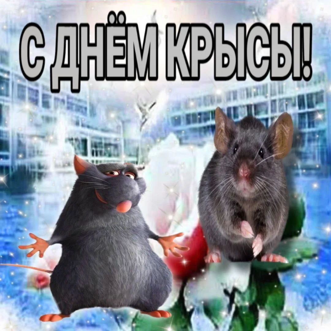 ПОЗДРАВЬ СВОЮ ПОДРУГУ ИЛИ ДРУГА  Выбирай дату и узнай какие праздники в этот день👇  • 6 мая - «День 