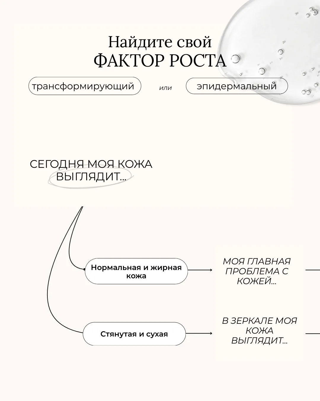Листайте карусель, чтобы найти идеальный для вас фактор роста ➝

Приобрести продукцию бренда можно н