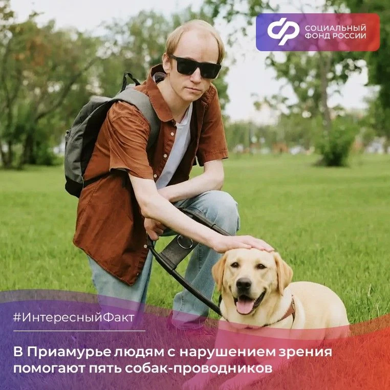 Рубрика #ИнтересныйФакт

🐕‍🦺 В Приамурье людям с нарушением зрения помогают пять собак-проводников