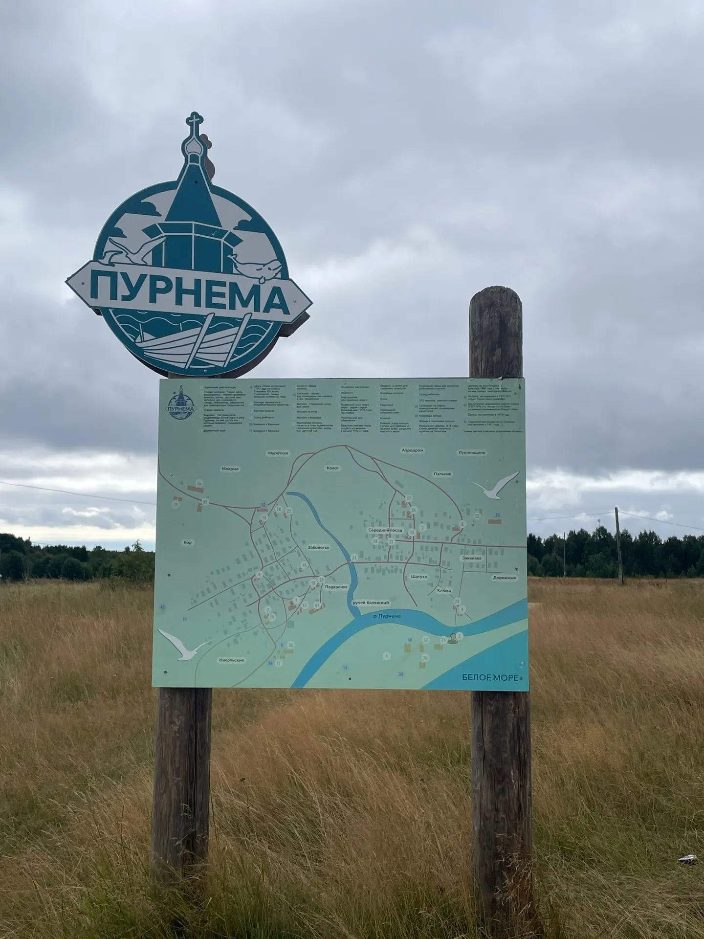 Пурнема