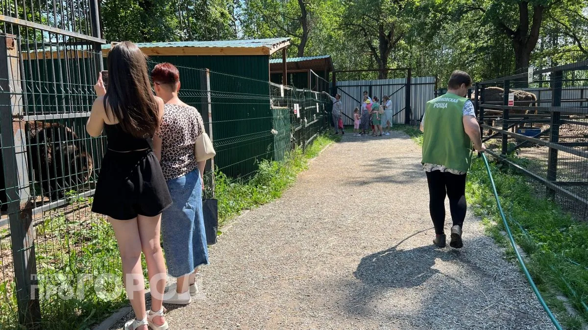 В Ельниковской роще сегодня праздник. В 12:00 у нового здания зоопарка стартует меропри...