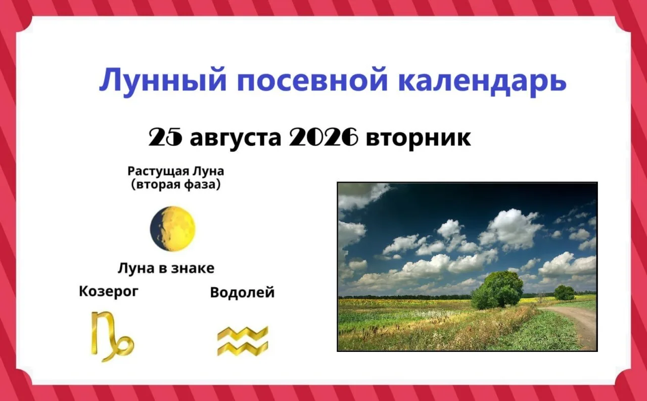 2️⃣5️⃣ августа, вторник