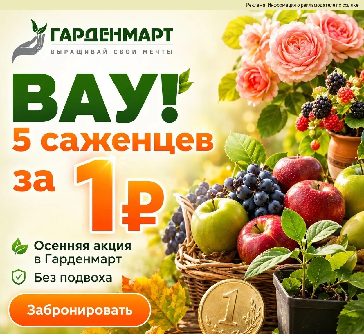 🌱 5 саженцев за 1 рубль