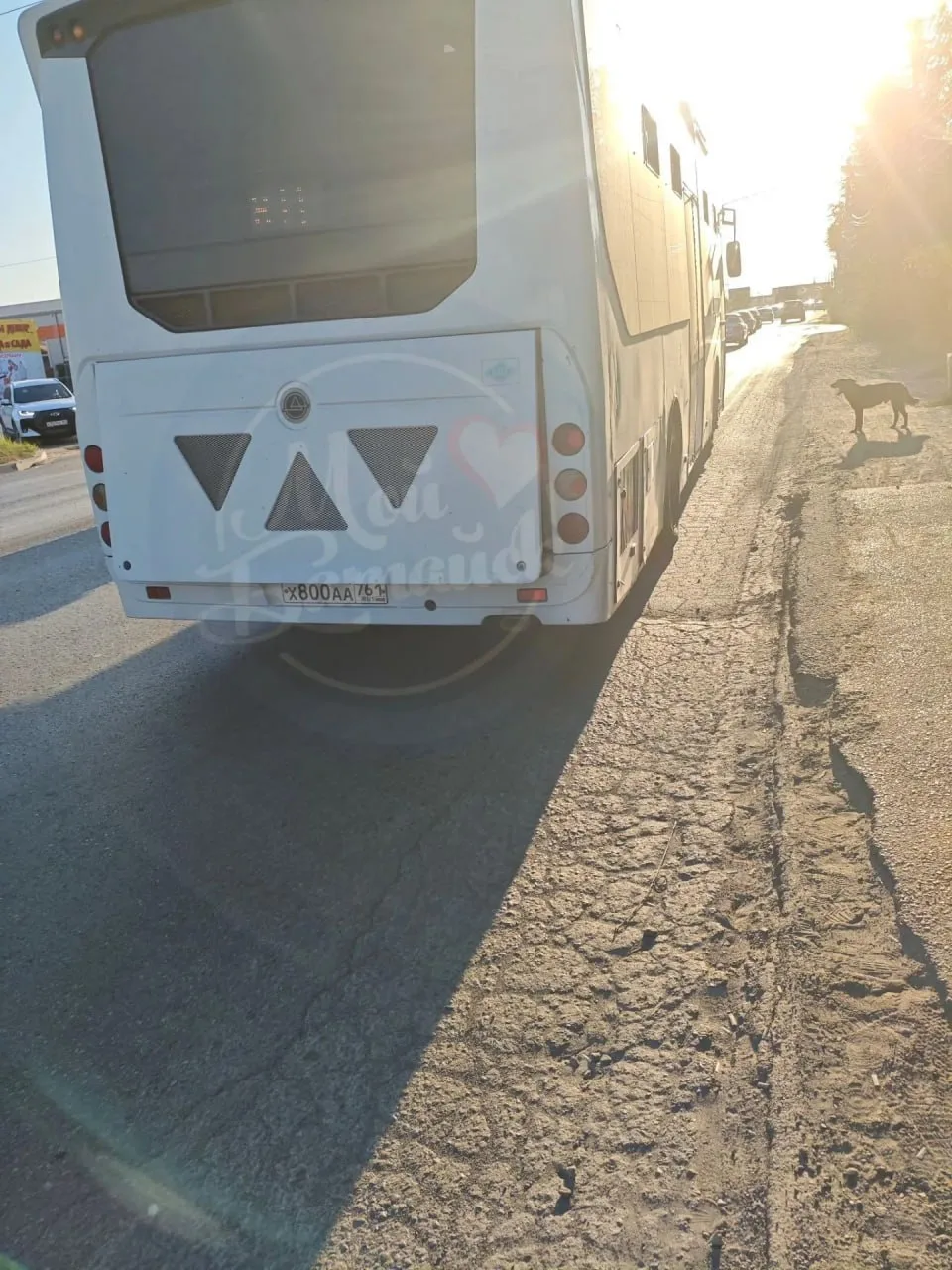 🚌 В автобусе №211 не охлаждал кондиционер
