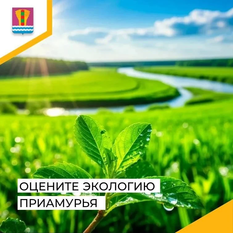 🍃 Оцените экологию Приамурья: ваше мнение важно!
