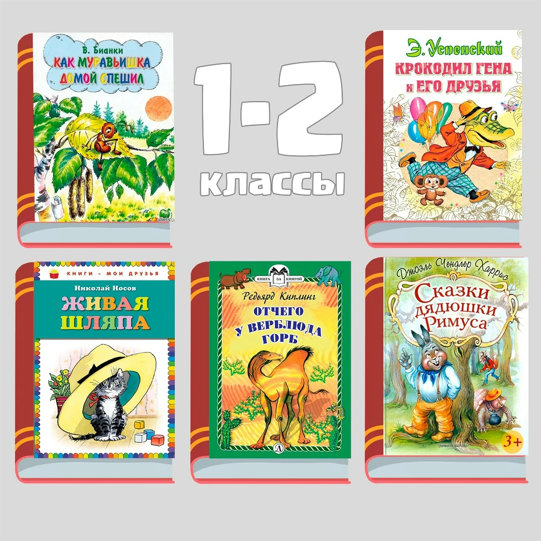 Осенние вечера — лучшее время для хорошей книги 🍂