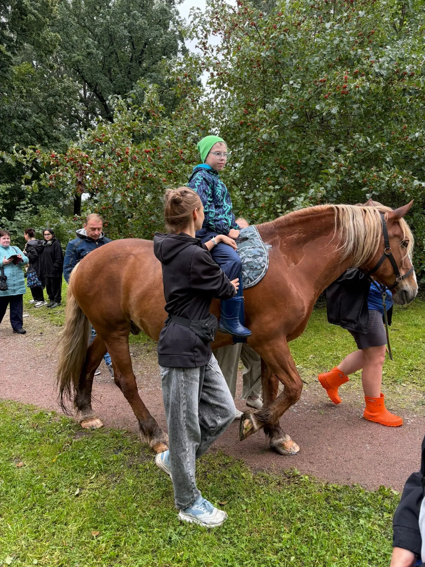 🐎 Прогулка на лошадях у Среднесуздальского озера: дождь не стал преградой! 🌧️