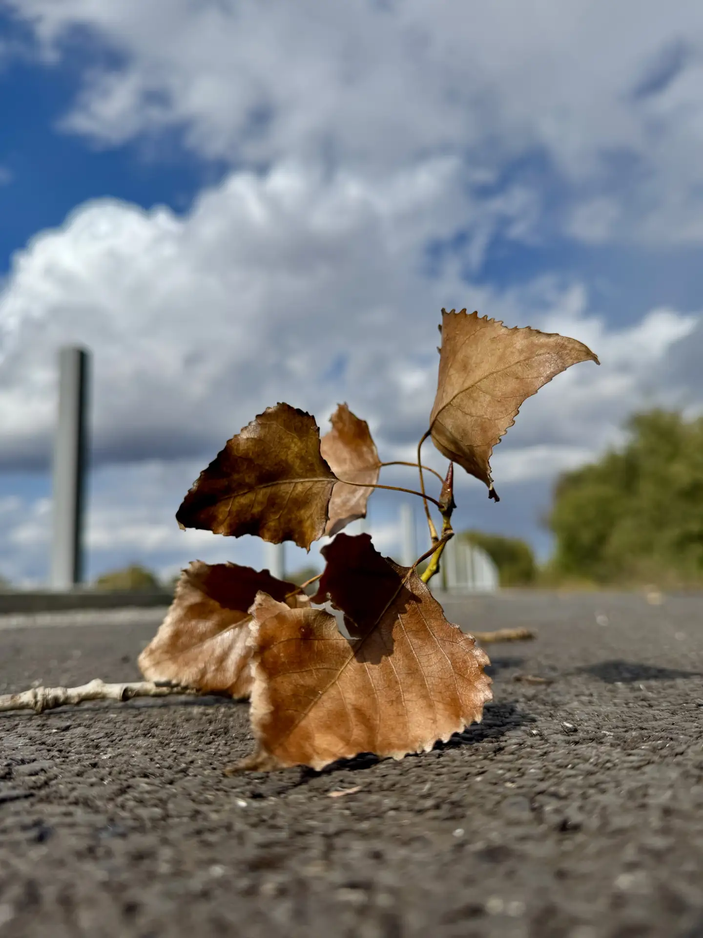 Всем доброе, осеннее утро 🤗