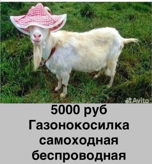 Наш канал ЛУЧИК РАДОСТИ ✨
