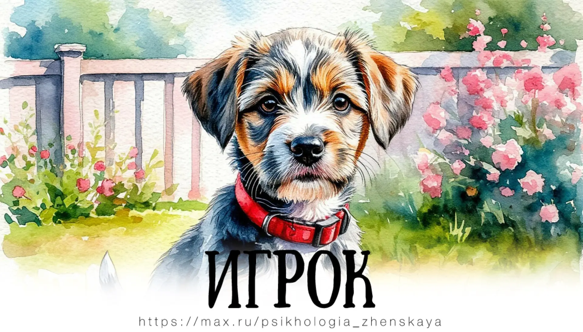 Три кота и две маленькие собачки тоже были бездомными, и они голодными глазами смотрели на человека,