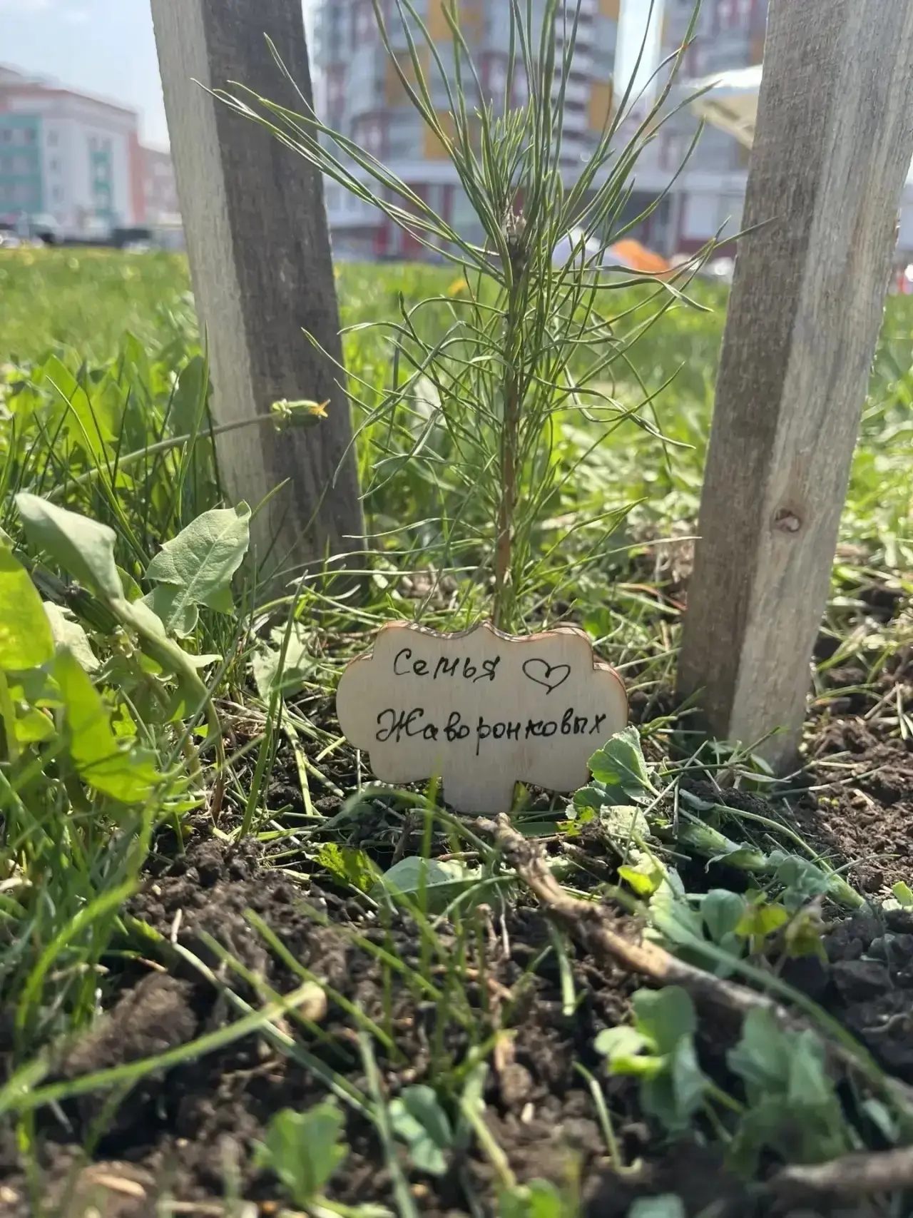 8 мая в нашем городе появилась  небольшая,но такая важная Аллея Энергетиков. На берегу реки Тавла пу