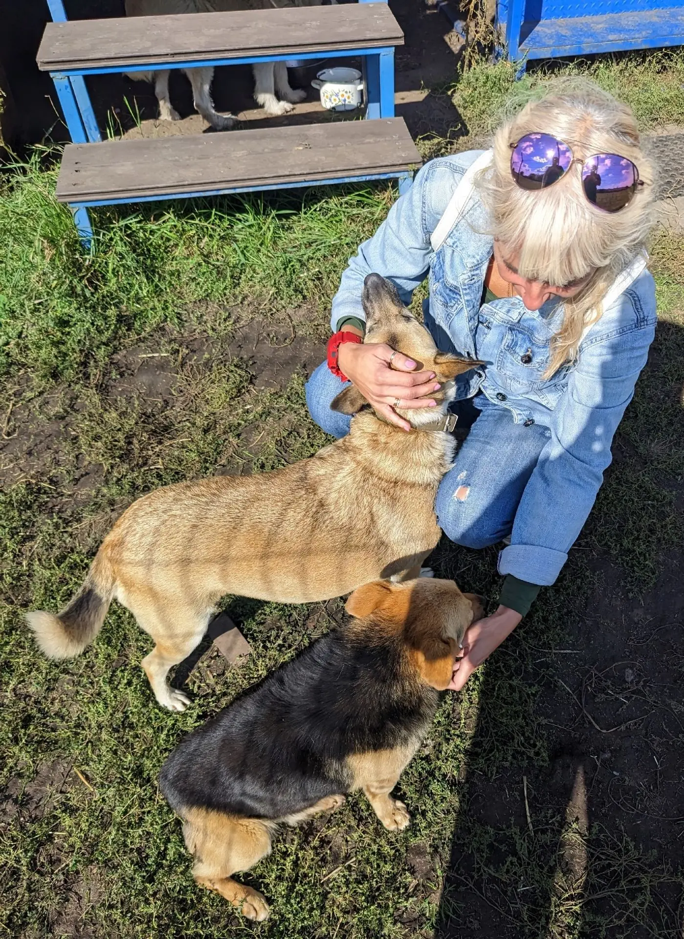 😍 Облаяли, обмяукали и облизали