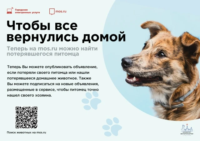 🏠 Что бы все вернулись домой
В Измайлово много неравнодушных людей, которые подкармливают бездомных