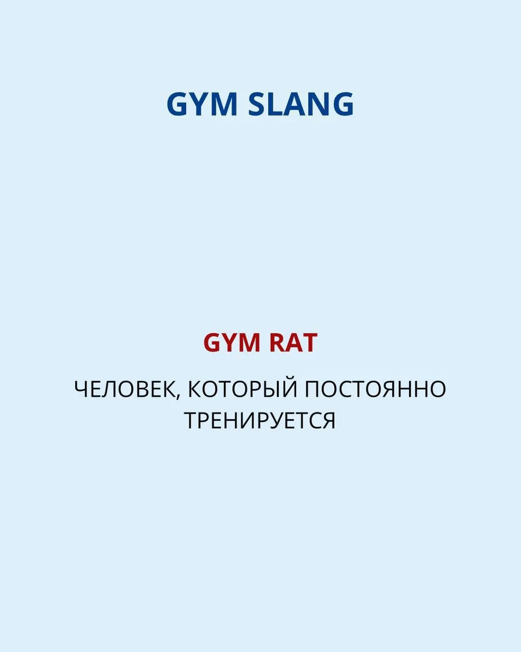 Gym rat - Человек, который часто тренируется