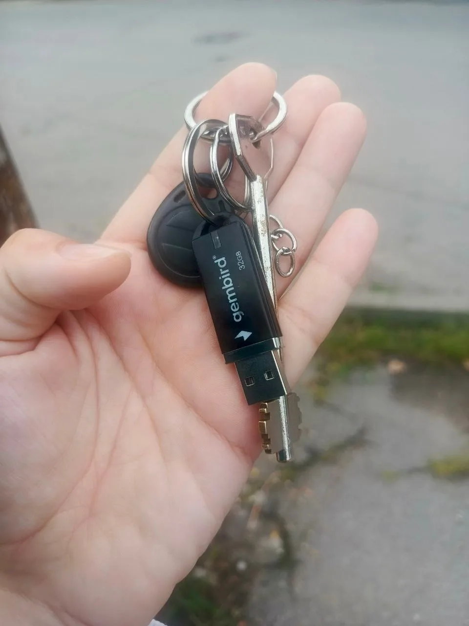 🚨 🚔 Найдены ключи на перекрестке Р.Люксембург/Красный. Потеряшка, найдись.