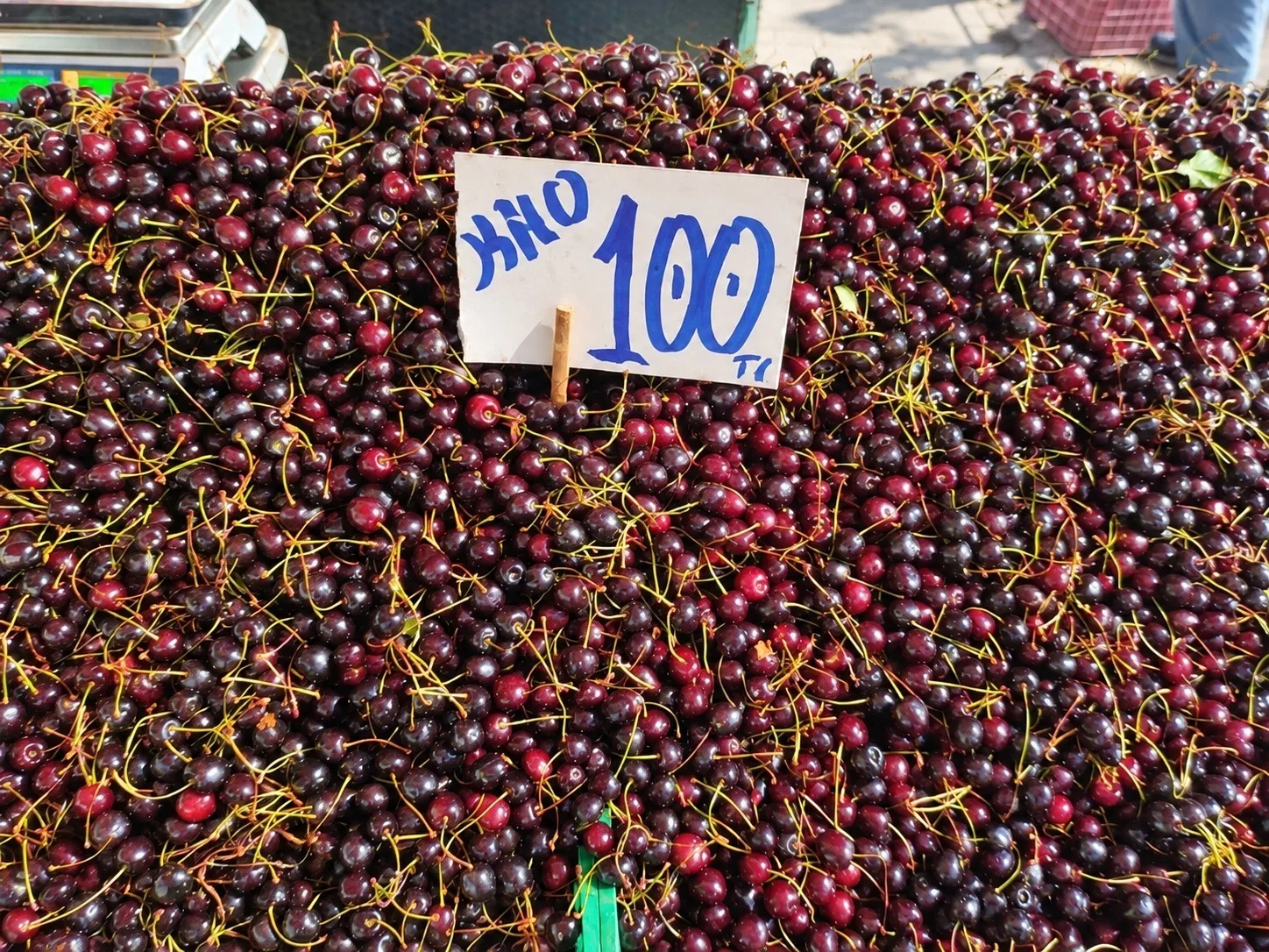 🍇 Конец сентября в Аланье — настоящий фруктовый рай.